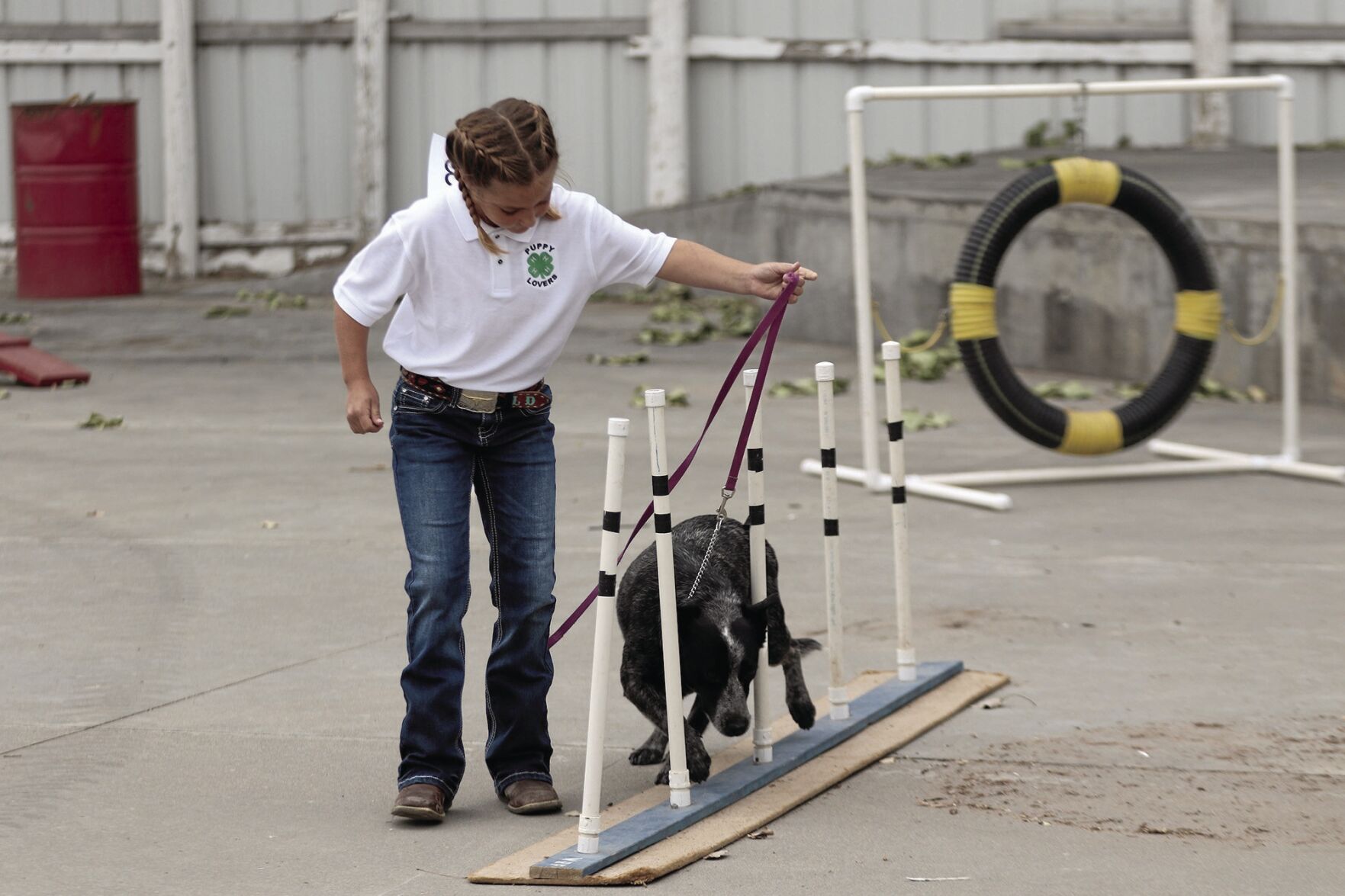 PHOTOS: Scotts Bluff County Fair Dog Show 2020